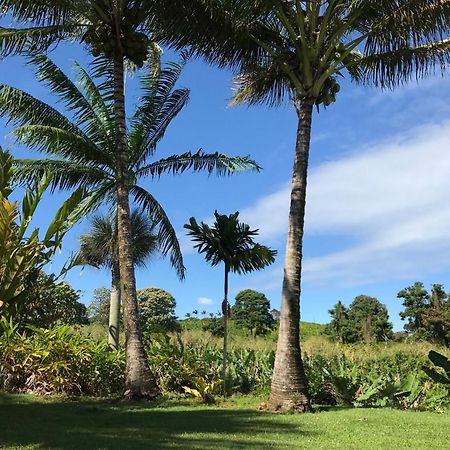 Island Goode'S - Luxury Adult Only Accommodation Near Hilo Papaikou Bagian luar foto