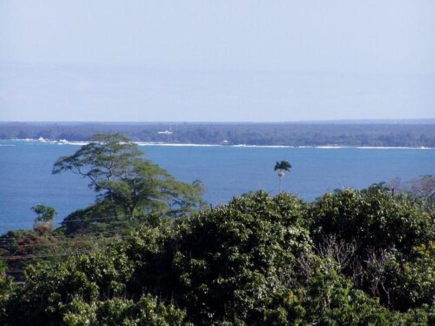 Island Goode'S - Luxury Adult Only Accommodation Near Hilo Papaikou Bagian luar foto