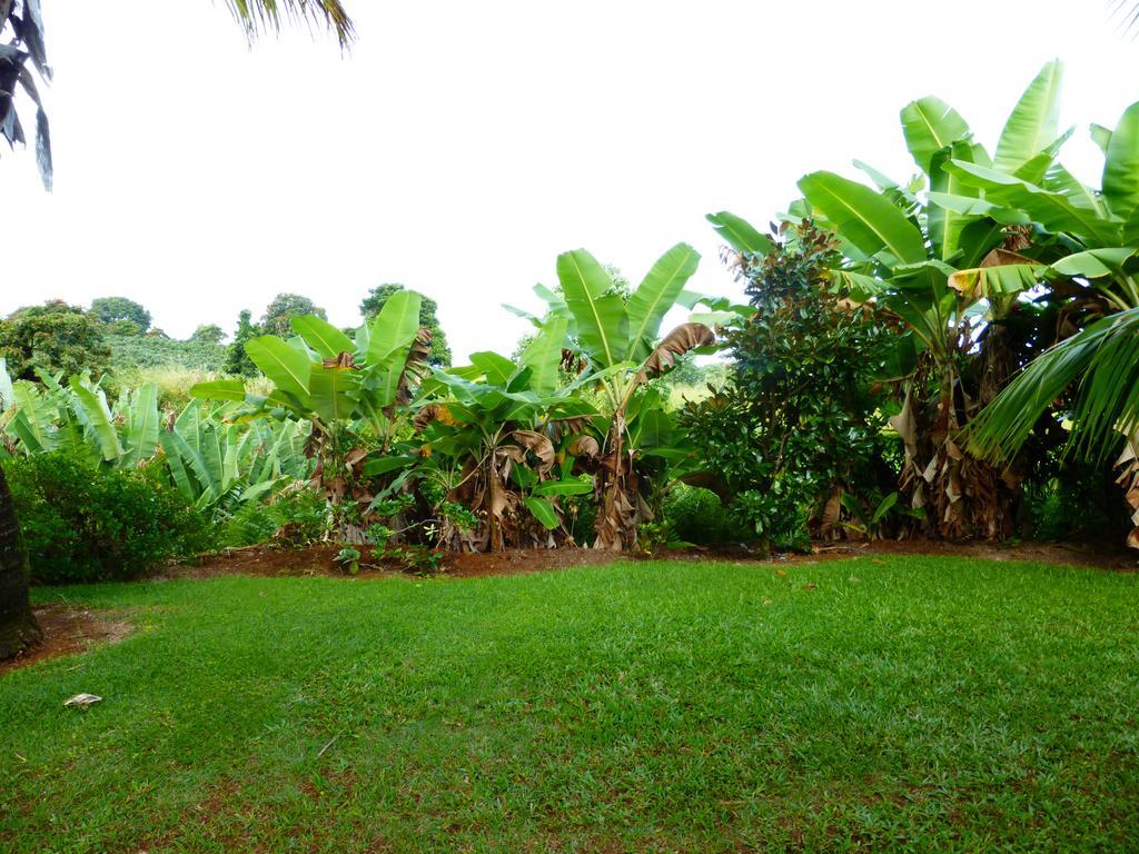Island Goode'S - Luxury Adult Only Accommodation Near Hilo Papaikou Bagian luar foto