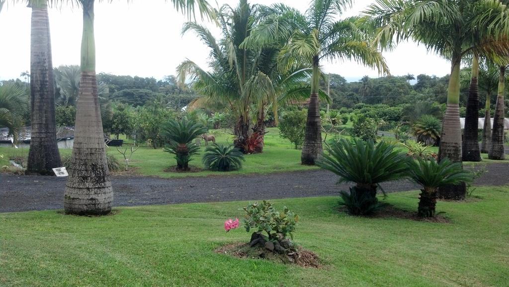Island Goode'S - Luxury Adult Only Accommodation Near Hilo Papaikou Bagian luar foto