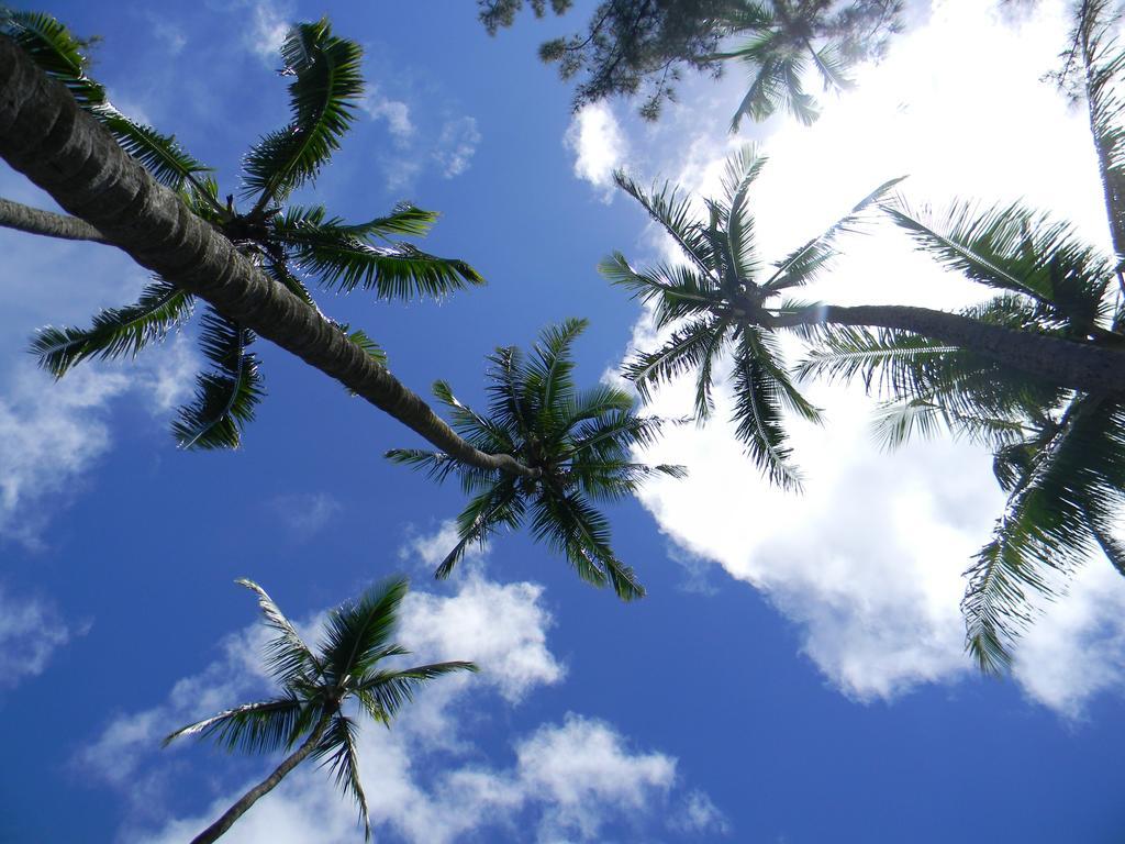 Island Goode'S - Luxury Adult Only Accommodation Near Hilo Papaikou Bagian luar foto