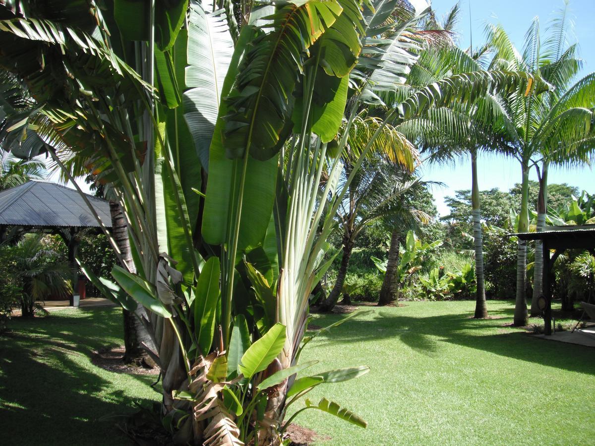Island Goode'S - Luxury Adult Only Accommodation Near Hilo Papaikou Bagian luar foto