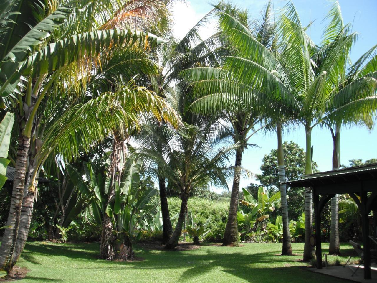 Island Goode'S - Luxury Adult Only Accommodation Near Hilo Papaikou Bagian luar foto